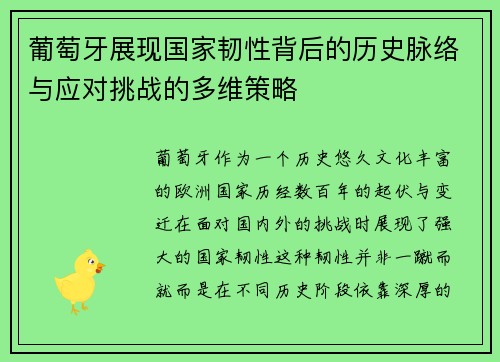 葡萄牙展现国家韧性背后的历史脉络与应对挑战的多维策略
