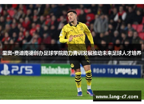 里奥·费迪南德创办足球学院助力青训发展推动未来足球人才培养
