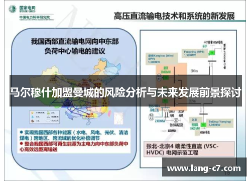 马尔穆什加盟曼城的风险分析与未来发展前景探讨