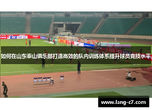 如何在山东泰山俱乐部打造高效的队内训练体系提升球员竞技水平