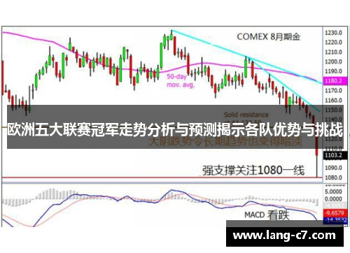 欧洲五大联赛冠军走势分析与预测揭示各队优势与挑战