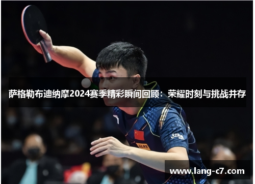 萨格勒布迪纳摩2024赛季精彩瞬间回顾：荣耀时刻与挑战并存