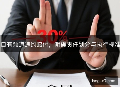 自有频道违约赔付,明确责任划分与执行标准 自有频道违约赔付,明确责任划分与执行标准